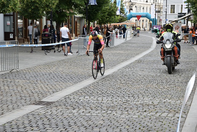 整个球队的 整个球队的