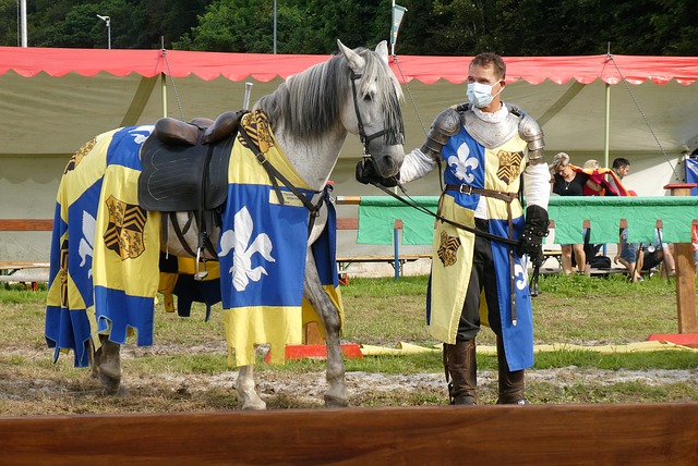 则更加多样 则更加多样